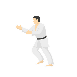 judo