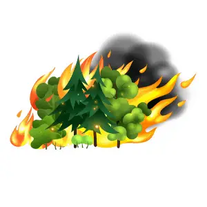extreme weather vocabulary - Wild Fire