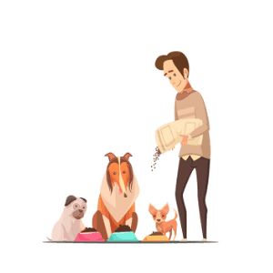 man feeding dogs