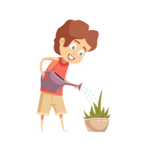 boy watering the plants