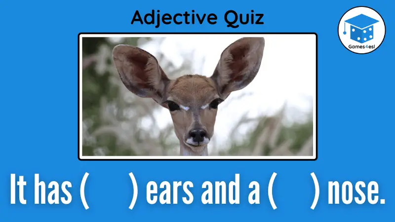 Adjectives Quiz Question