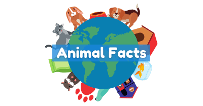 Animal Facts Quiz