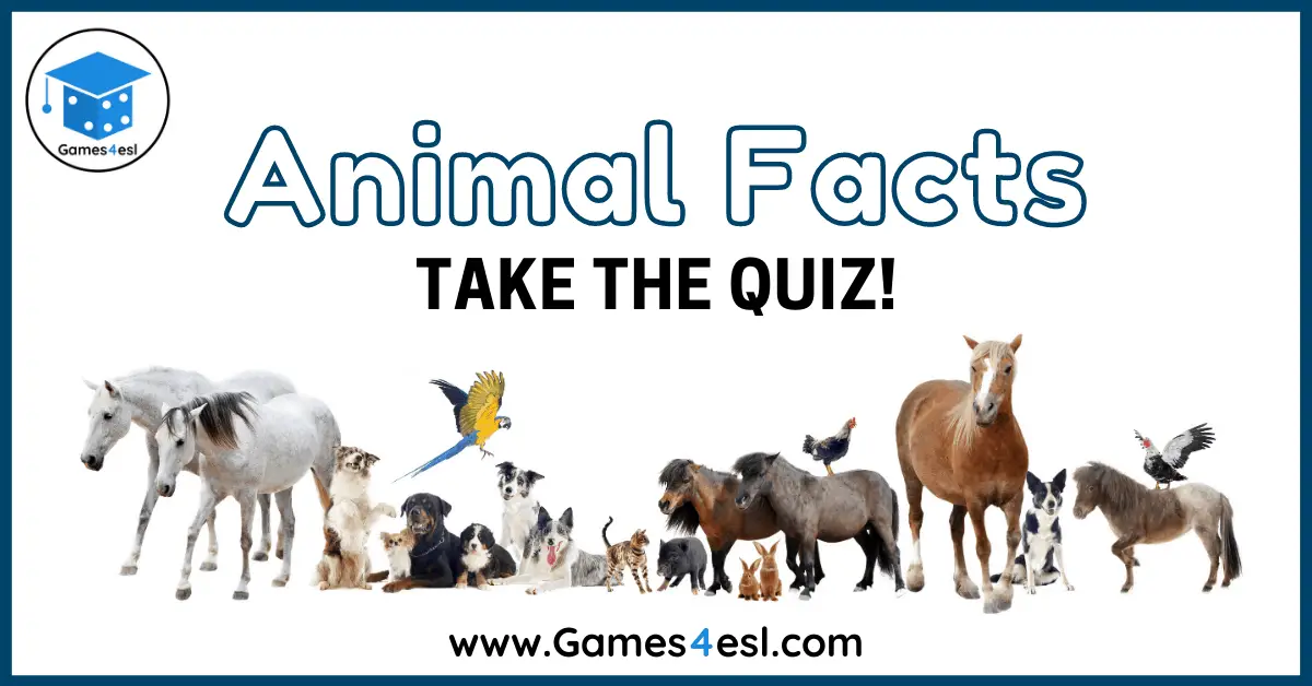 Animal Facts Quiz