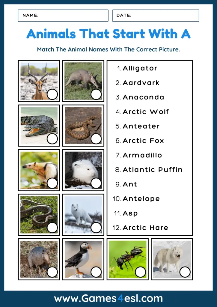 Animals That Start With A Worksheet