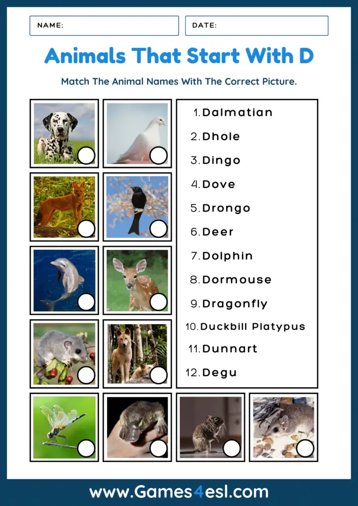 A worksheet with animals that start with D