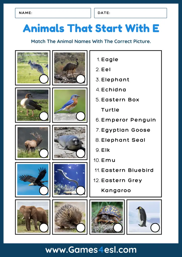 Animals That Start With E - Worksheet