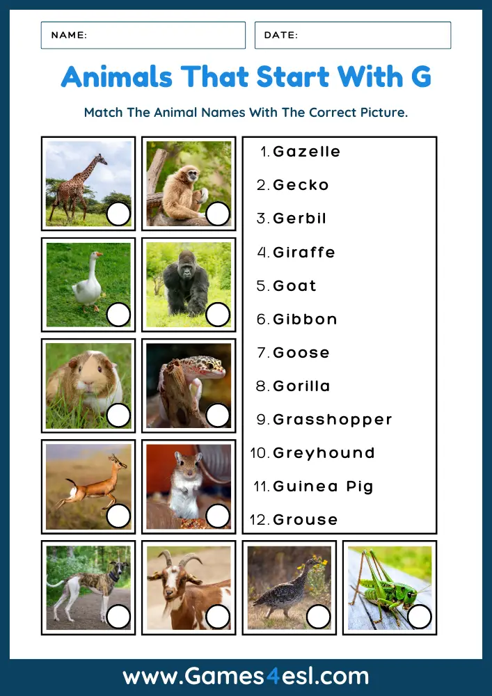 Animals That Start With G - Worksheet