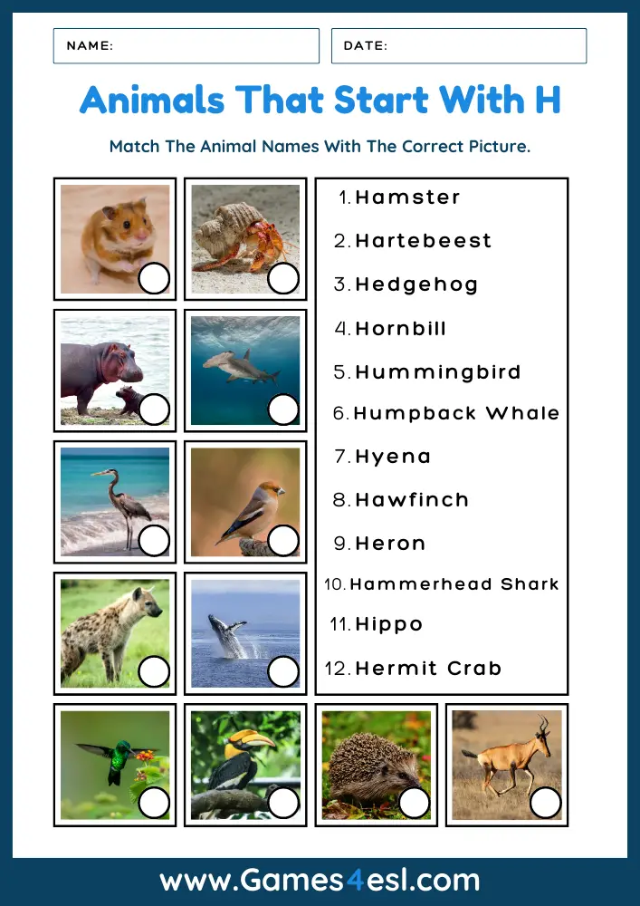 Animals That Start With H - Worksheet