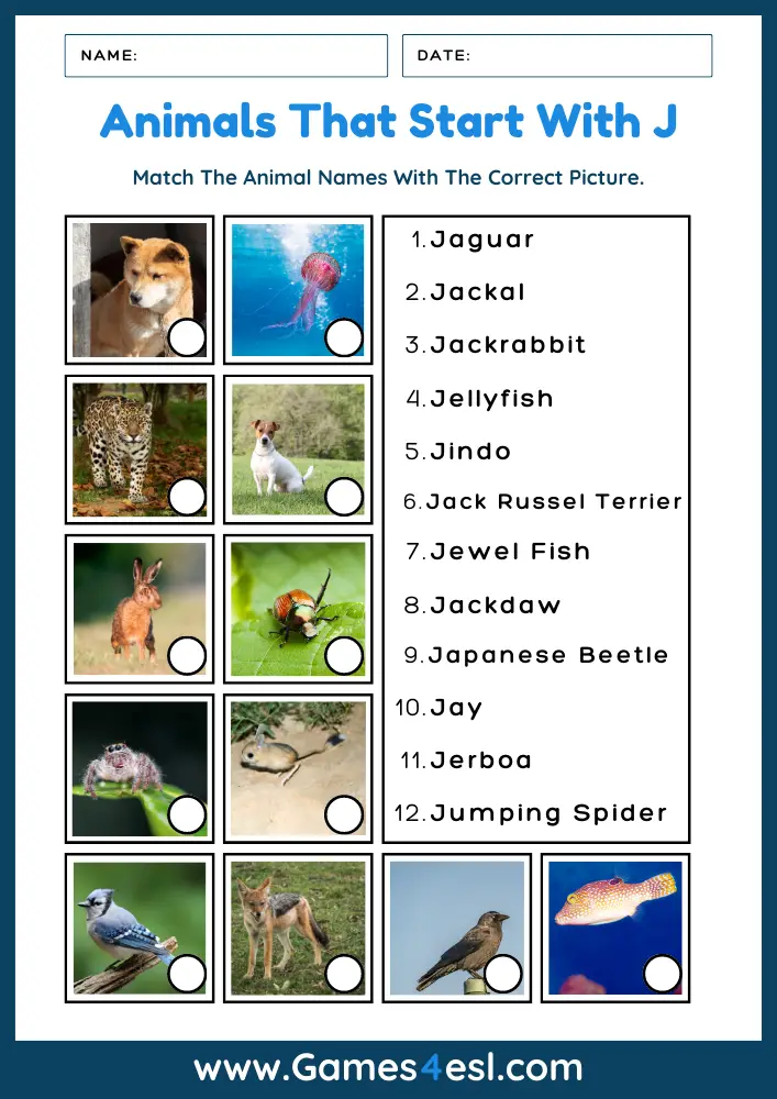 Animals That Start With J - Worksheet