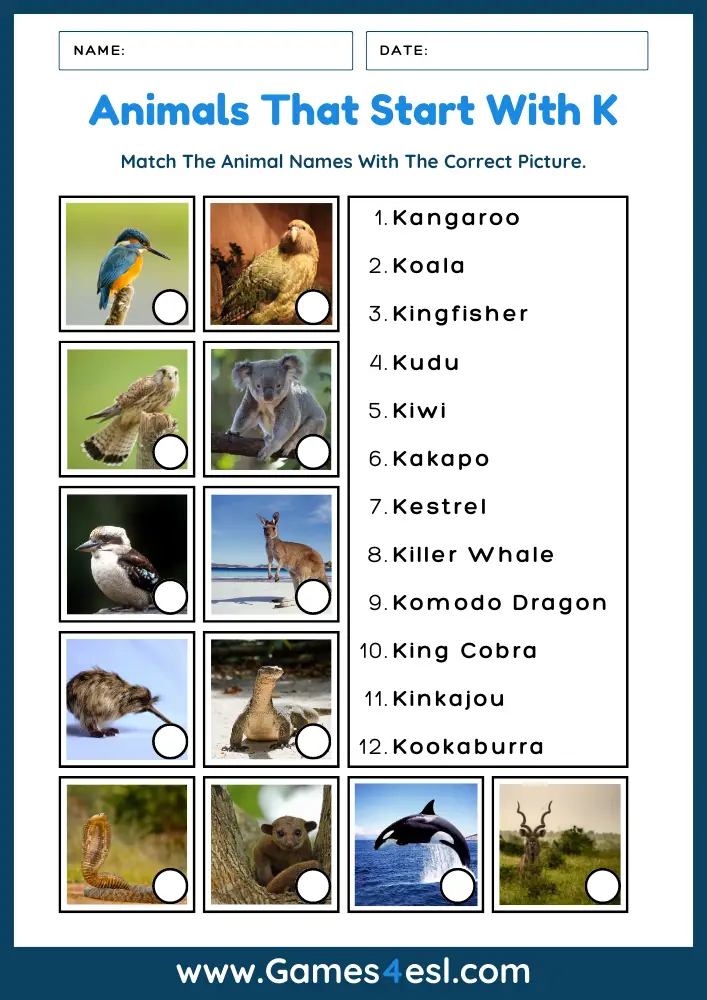 Animals That Start With K - Worksheet