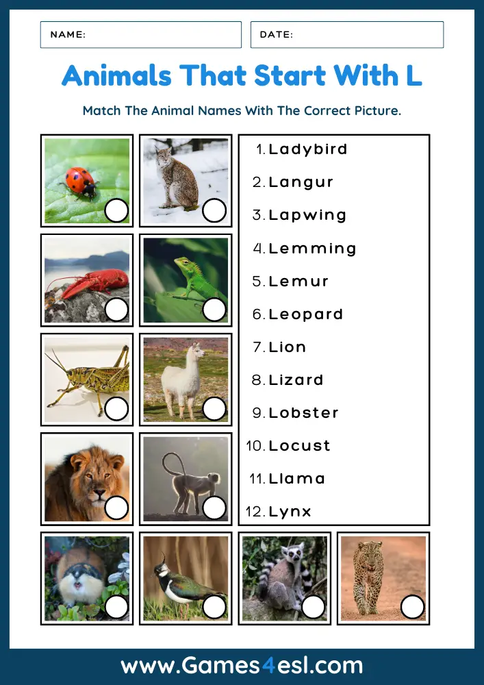 Animals That Start With L - Worksheet