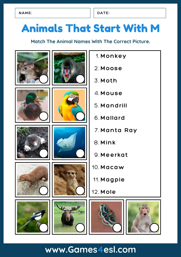 Animals That Start With M - Worksheet