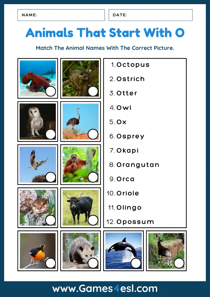 Animals That Start With O - Worksheet