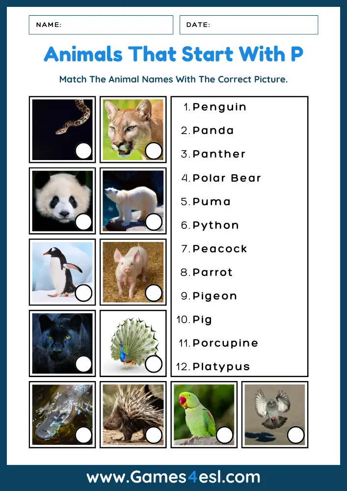 Animals That Start With P - Worksheet