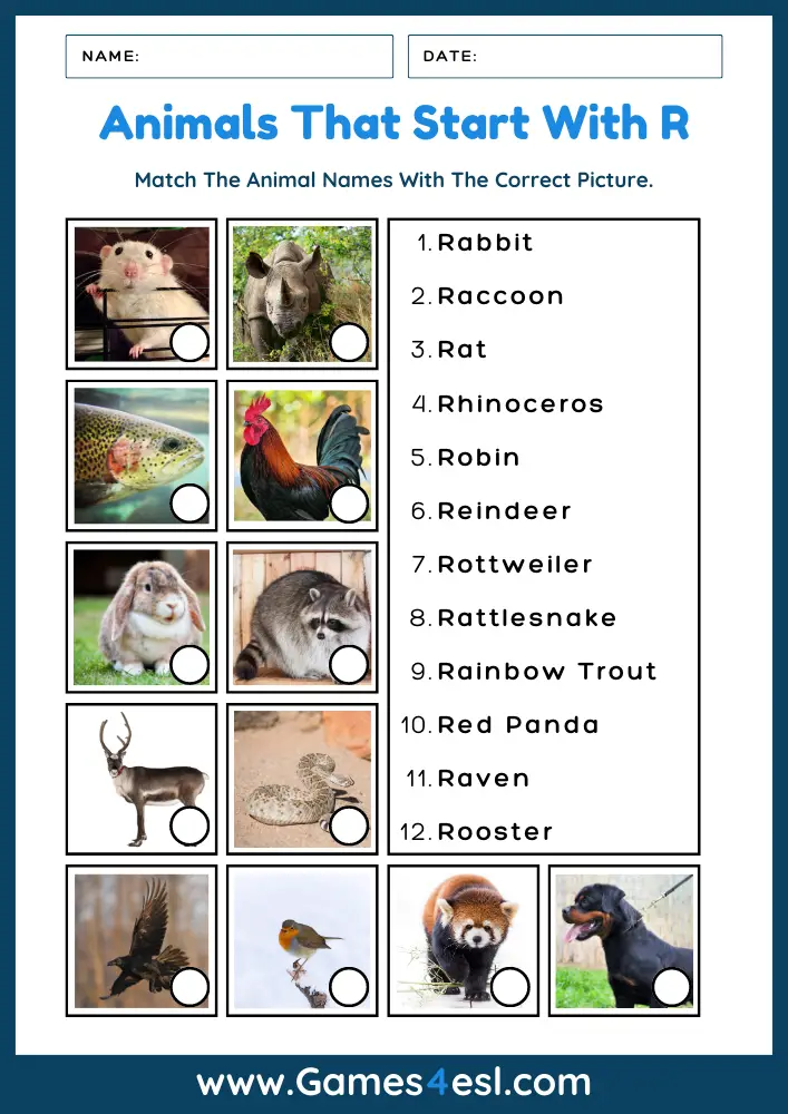 Animals That Start With R - Worksheet