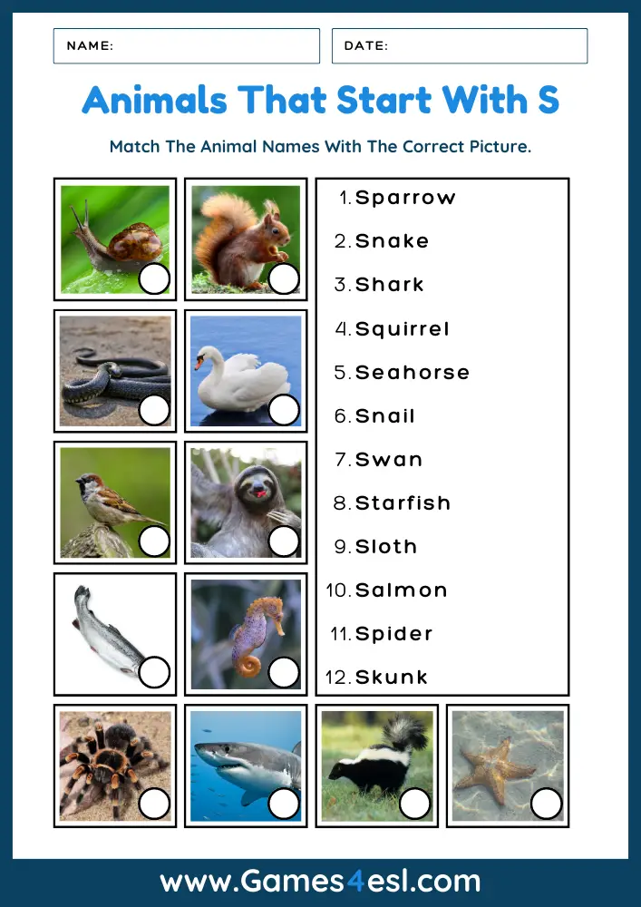 Animals That Start With S - Worksheet