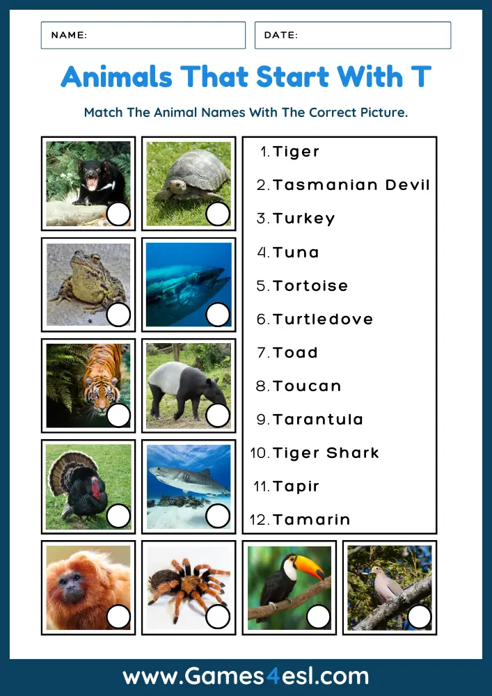 Animals That Start With T - Worksheet