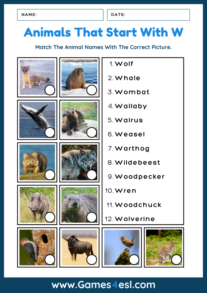 Animals That Start With W - Worksheet