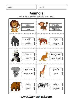 Animals Worksheet