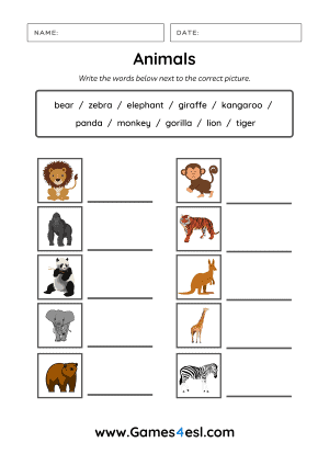 Animals Worksheet