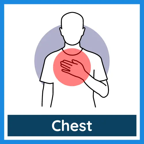 Body Parts - Chest