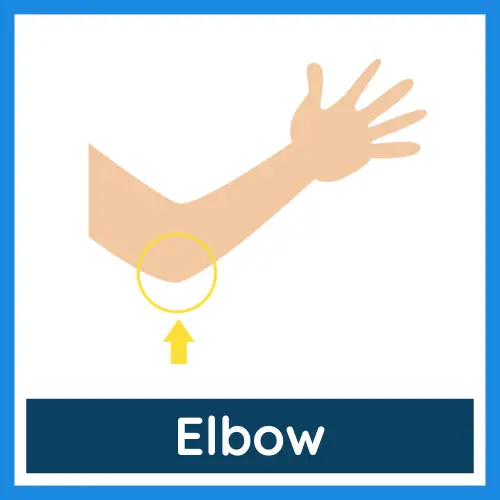 Body Parts - Elbow