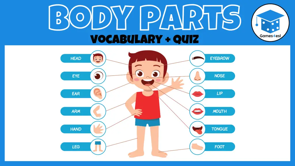 Body Parts Game For Kids