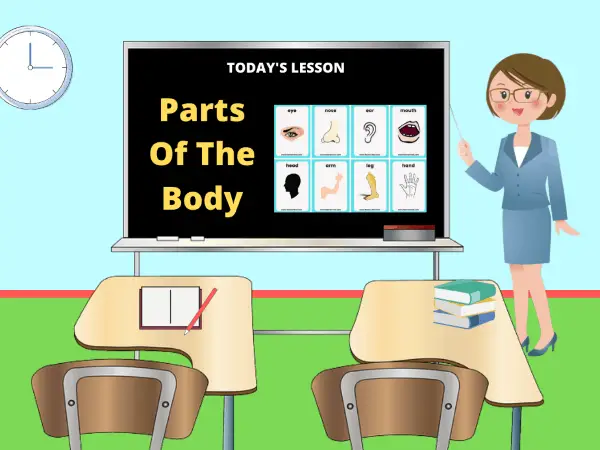 parts-of-the-body-a-complete-esl-lesson-plan-games4esl