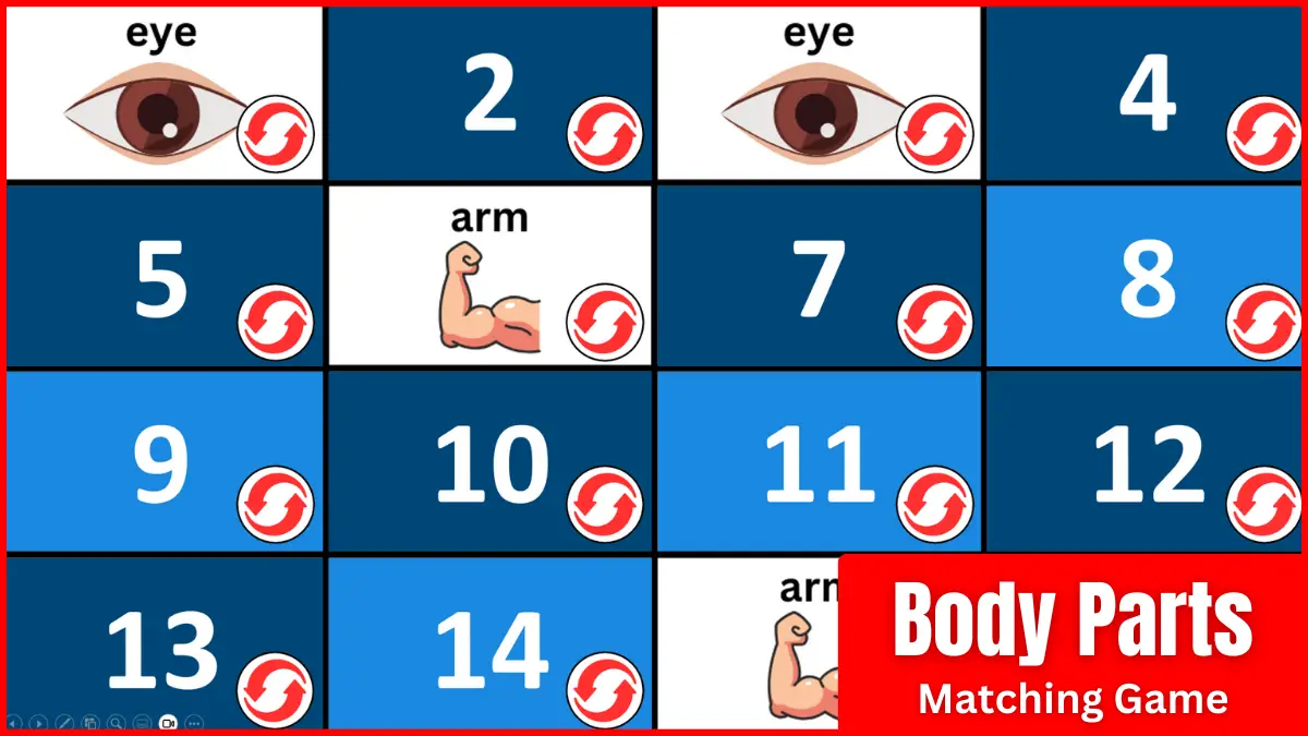 A Body Parts Memory Game PPT