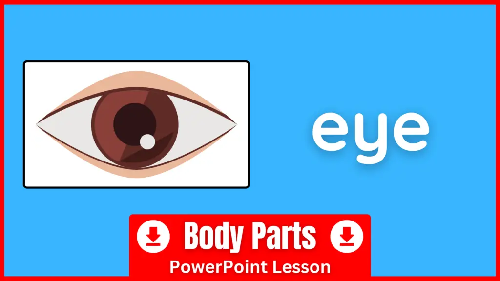 A PowerPoint for teaching body parts in English.