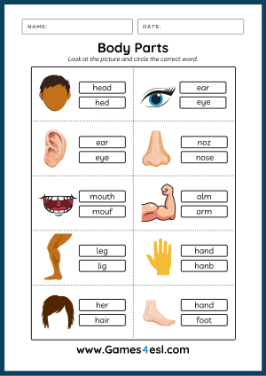 Body Parts Worksheets