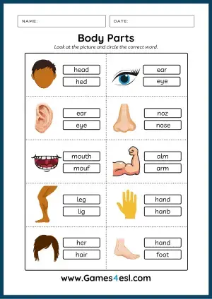 Body Parts Worksheets