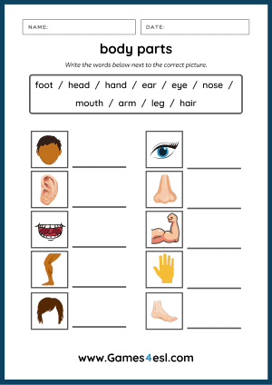 Body Parts Worksheet