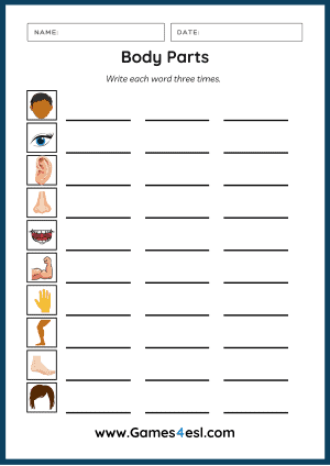 Body Parts Worksheet