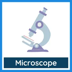 Classroom Objects Vocabulary - microscope