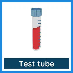 Classroom Objects Vocabulary - test tube