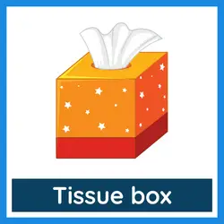 Classroom Objects Vocabulary - tissue box