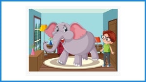 English Idiom Elephant In The Room