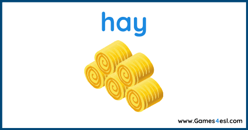 Fall Vocabulary - Hay