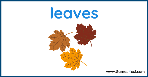 Fall Vocabulary - leaves