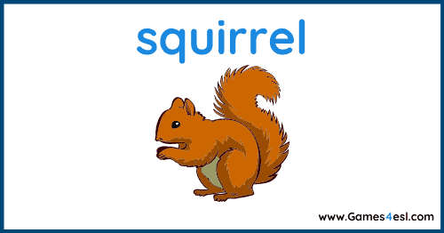 Fall Vocabulary - squirrel