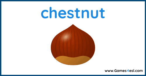 Fall vocabulary - chestnut
