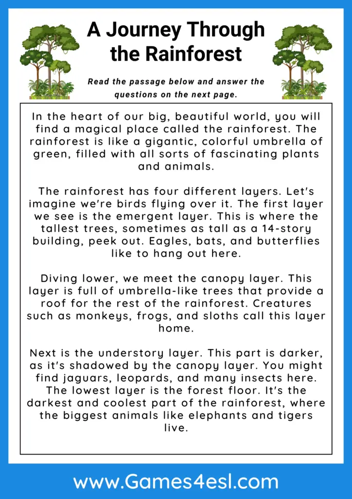 A 3rd grade reading comprehension worksheet about the rainforest