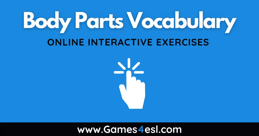 Parts Of The Body Vocabulary Exercises