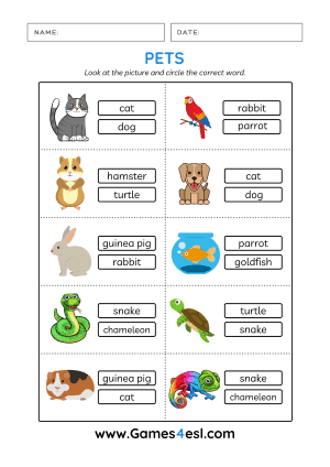 pet animals worksheet