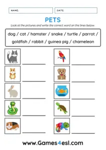 Pet Worksheets | Games4esl