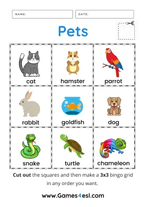 Pets Bingo Worksheet