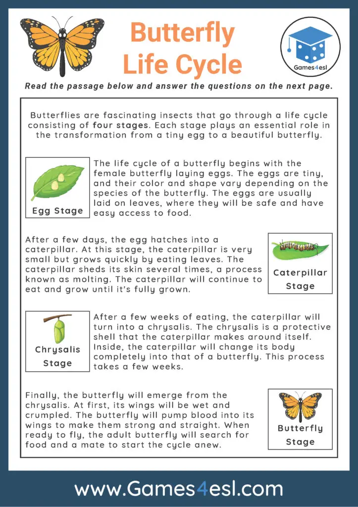 Reading Comprehension Worksheet - Butterfly Life Cycle
