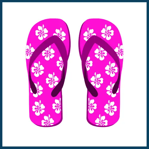 Flip Flops