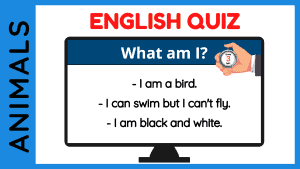 What Am I? Quiz | Animals